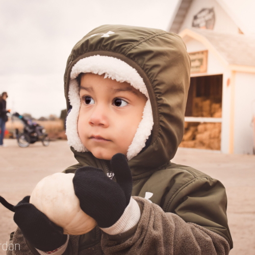 GoebbertsPumpkinFarm (1 of 20)